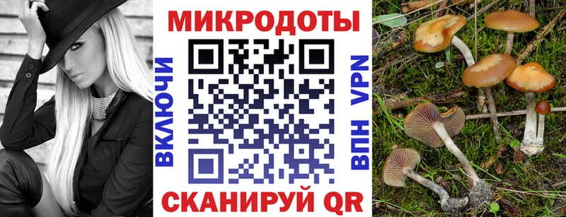 Псилоцибиновые грибы Magic Shrooms  наркота  Камызяк 